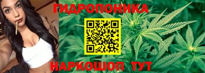 крисы Конаково