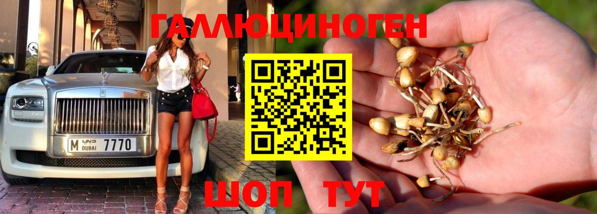 Галлюциногенные грибы Cubensis Чебаркуль